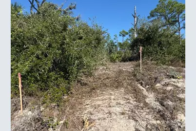 Tbd Cr 30-A, Port Saint Joe, FL 32456 - Photo 11