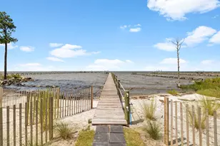 1469 E Gulf Beach Dr, Saint George Island, FL 32328 - Photo 87