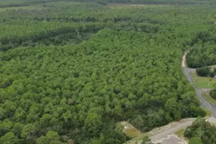 324 Eagles Way, Carrabelle, FL 32323 - Photo 39