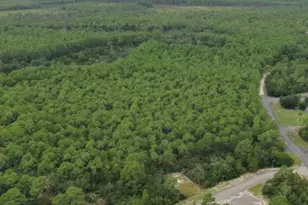 222 Eagles Way, Carrabelle, FL 32323 - Photo 15