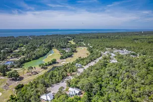 144 Anhinga Trail, Carrabelle, FL 32322 - Photo 17