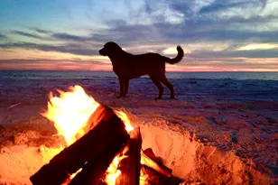 149 Sapodilla Ln, Cape San Blas, FL 32456 - Photo 93