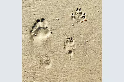 181 S Higgins St, Port Saint Joe, FL 32456 - Photo 63