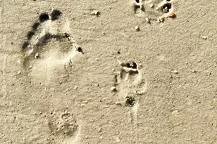 181 S Higgins St, Port Saint Joe, FL 32456 - Photo 63