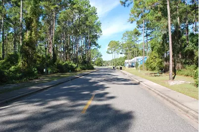 112 Royal Tern Way, Carrabelle, FL 32322 - Photo 3