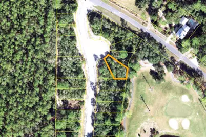 110 Spoonbill Ct, Carrabelle, FL 32323 - Photo 3