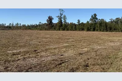 Lot 1 Hwy 71, Wewahitchka, FL 32465 - Photo 1