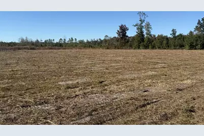 Lot 1 Hwy 71, Wewahitchka, FL 32465 - Photo 3