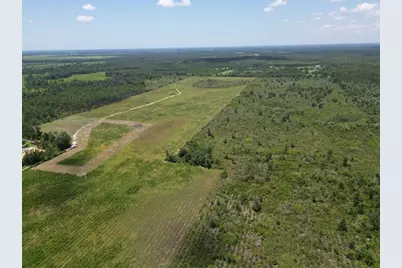 Lot 1 Hwy 71, Wewahitchka, FL 32465 - Photo 15