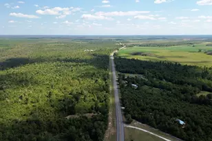 5379 SW Sr 73, Kinard, FL 32449 - Photo 53