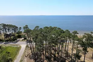 110 Shell Bay Ct, Carrabelle, FL 32322 - Photo 41