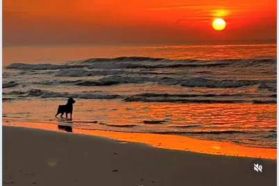 728 Gulf Shore Dr, Carrabelle, FL 32322 - Photo 9