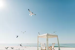 102 S 38th St, Mexico Beach, FL 32456 - Photo 3