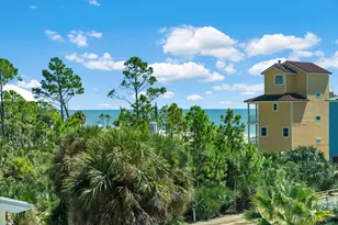 125 Canoe Ln, Port Saint Joe, FL 32456 - Photo 47