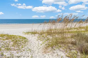 125 Canoe Ln, Port Saint Joe, FL 32456 - Photo 39