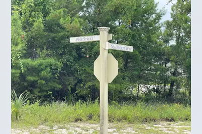 1620 Sea Breeze Way, Carrabelle, FL 32322 - Photo 5
