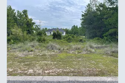1645 Landing St, Carrabelle, FL 32322 - Photo 3