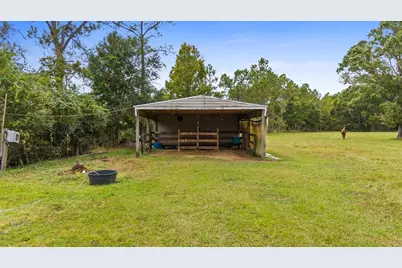 821 Mace Martin Rd, Wewahitchka, FL 32465 - Photo 33