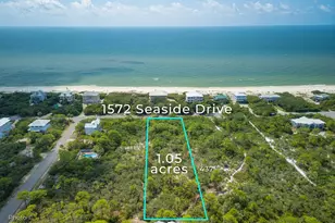 1572 Seaside Dr, Saint George Island, FL 32328 - Photo 1