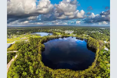 340 S Squirrel Ave, Wewahitchka, FL 32465 - Photo 29