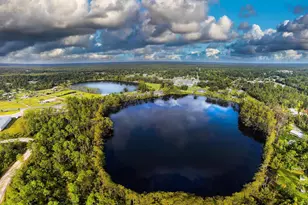 340 S Squirrel Ave, Wewahitchka, FL 32465 - Photo 29