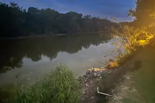 204 Riverview Dr, Wewahitchka, FL 32465 - Photo 45