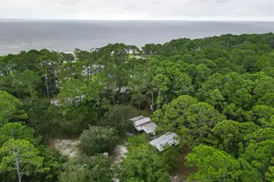 2455 Hwy 98 W, Carrabelle, FL 32322 - Photo 43