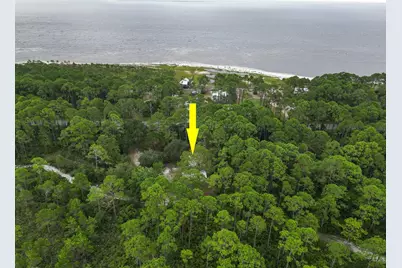 2455 Hwy 98 W, Carrabelle, FL 32322 - Photo 3