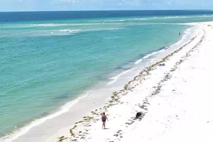 1001 Hwy 98, Mexico Beach, FL 32456 - Photo 55