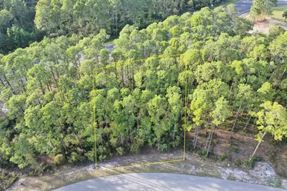 3469 Firefly Cir, Saint Teresa, FL 32358 - Photo 3