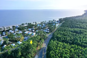 3469 Firefly Cir, Saint Teresa, FL 32358 - Photo 1