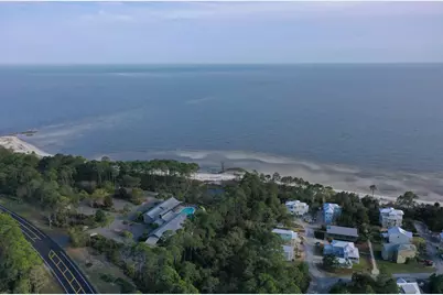 3469 Firefly Cir, Saint Teresa, FL 32358 - Photo 29