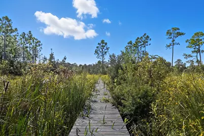 214 Lake McKissack Ln, Carrabelle, FL 32322 - Photo 35