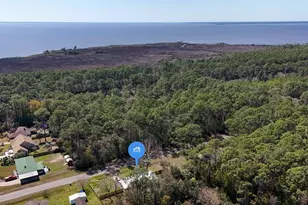 53 Bay Shore Dr, Apalachicola, FL 32320 - Photo 45
