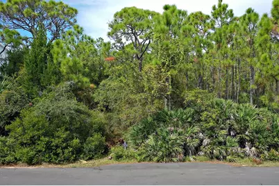 1804 Denise Ct, Saint George Island, FL 32328 - Photo 15