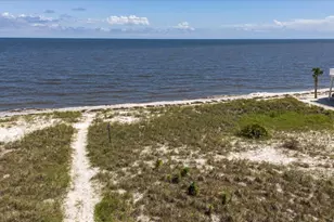 6 Kingfish St, Alligator Point, FL 32346 - Photo 61