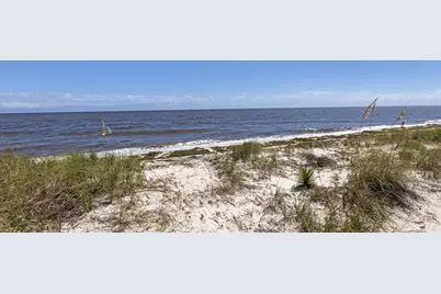 6 Kingfish St, Alligator Point, FL 32346 - Photo 53