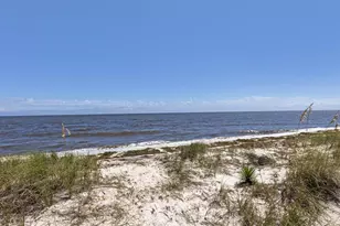 6 Kingfish St, Alligator Point, FL 32346 - Photo 53