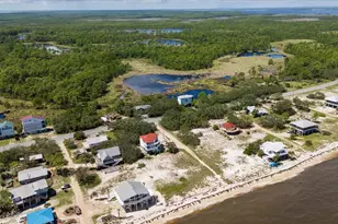 6 Kingfish St, Alligator Point, FL 32346 - Photo 73