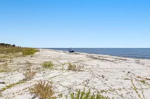 1125 Alligator Dr, Alligator Point, FL 32346 - Photo 49