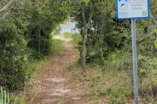 941 W Gulf Beach Dr, Saint George Island, FL 32328 - Photo 29