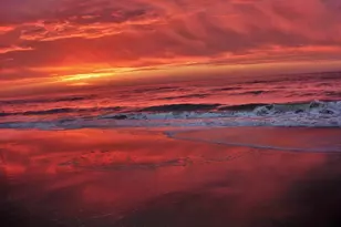 941 W Gulf Beach Dr, Saint George Island, FL 32328 - Photo 33