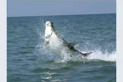 941 W Gulf Beach Dr, Saint George Island, FL 32328 - Photo 31