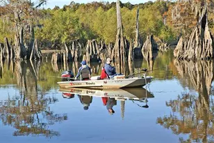 354 Canning Dr, Wewahitchka, FL 32465 - Photo 69