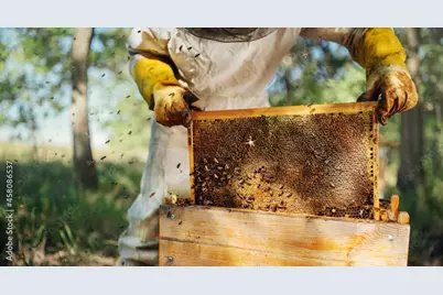 354 Canning Dr, Wewahitchka, FL 32465 - Photo 69