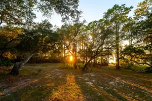 211 N Bayshore Dr, Eastpoint, FL 32328 - Photo 53