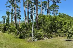 Lot 7 Sr 30-A, Port Saint Joe, FL 32456 - Photo 1
