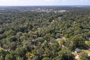 3711 Fawn Ln, Tallahassee, FL 32309 - Photo 3