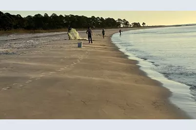 1810 Lighthouse Rd, Carrabelle, FL 32322 - Photo 39