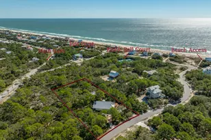 1208 Sea Dune Dr, Saint George Island, FL 32328 - Photo 37
